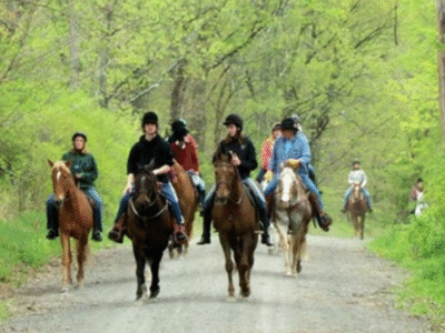 Five Brooks Ranch + Stables: Point Reyes National Seashore